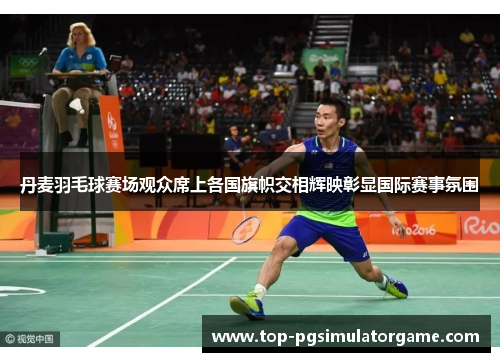 丹麦羽毛球赛场观众席上各国旗帜交相辉映彰显国际赛事氛围 丹麦羽毛球赛场观众席上各国旗帜交相辉映彰显国际赛事氛围