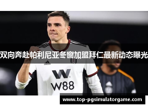 双向奔赴帕利尼亚冬窗加盟拜仁最新动态曝光 双向奔赴帕利尼亚冬窗加盟拜仁最新动态曝光