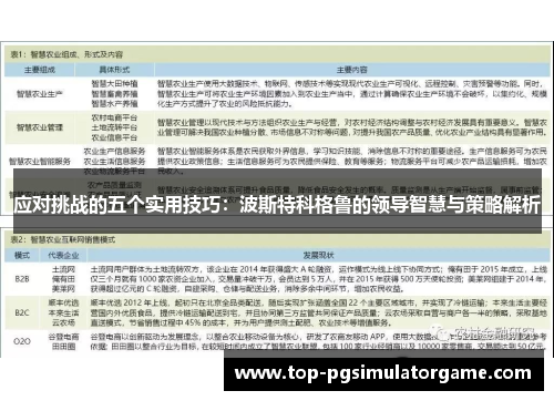 应对挑战的五个实用技巧：波斯特科格鲁的领导智慧与策略解析