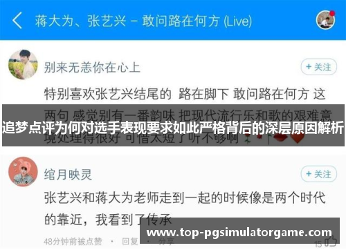 追梦点评为何对选手表现要求如此严格背后的深层原因解析