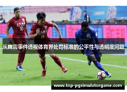 从魏震事件透视体育界处罚标准的公平性与透明度问题