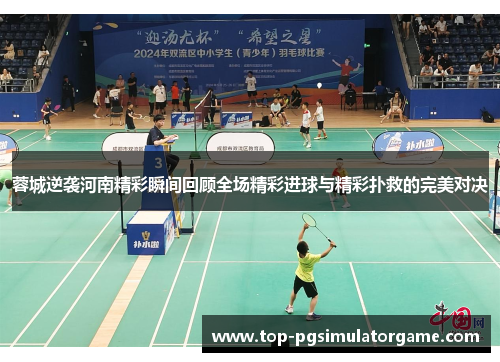 蓉城逆袭河南精彩瞬间回顾全场精彩进球与精彩扑救的完美对决