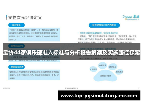 足协44家俱乐部准入标准与分析报告解读及实施路径探索