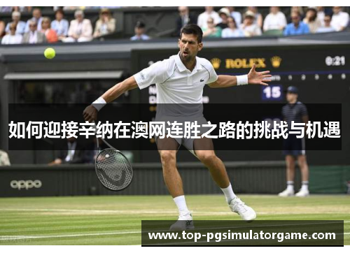 如何迎接辛纳在澳网连胜之路的挑战与机遇 如何迎接辛纳在澳网连胜之路的挑战与机遇