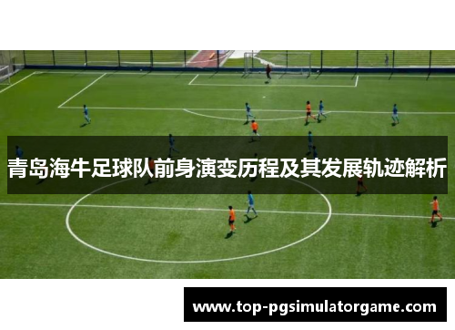 青岛海牛足球队前身演变历程及其发展轨迹解析 青岛海牛足球队前身演变历程及其发展轨迹解析
