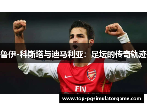 鲁伊-科斯塔与迪马利亚:足坛的传奇轨迹 鲁伊-科斯塔与迪马利亚:足坛的传奇轨迹
