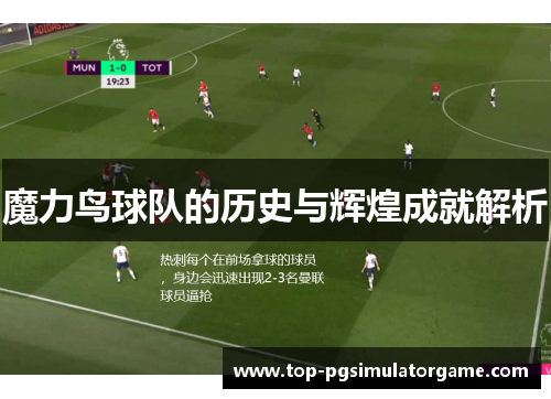 魔力鸟球队的历史与辉煌成就解析